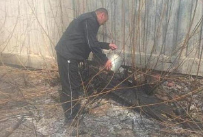 Гвардейцы не пропустили огонь 